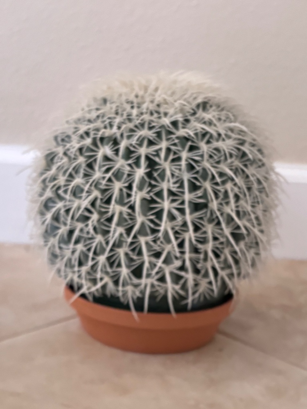 Faux Cactus - Picture 2 of 3